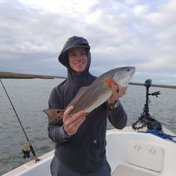 Folly Beach Fishing Charters, Red Drum